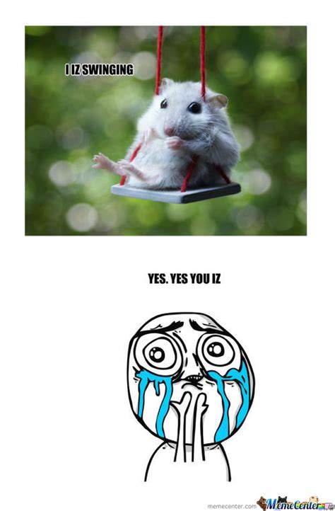 Hamster Cute Dwarf Dwarfhamste Memes Best Collection Of