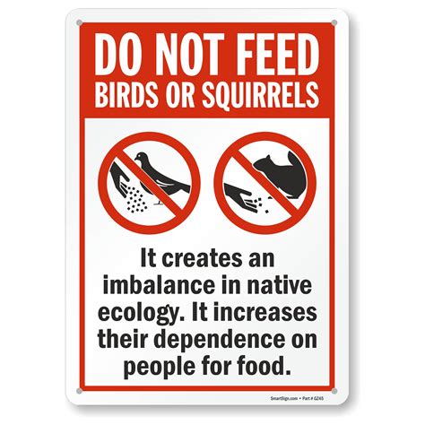 Buy Smartsign 14 X 10 Inch Do Not Feed Birds Or Squirrels It Creates