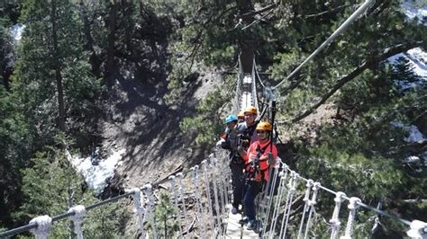 14 ziplines, 4 sky bridges and 4 rappels and an excellent team are here to guide you on your adventure through the tree tops. Ziplines at Pacific Crest (Wrightwood) - 2019 All You Need ...