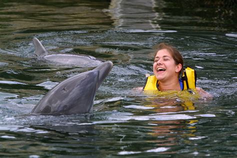Swimming With Dolphins Ban 5 Fast Facts You Need To Know