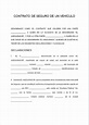 Contrato de Seguro Mercantil 【 Ejemplos y Formatos 】Word, PDF