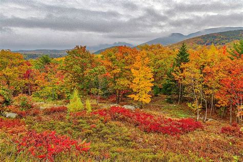 Peak Fall Colors At Acadia National Park By Juergen Roth Landscape