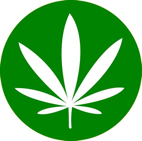 Download Cannabis Png Transparent Background Pot Leaf Png Clipart