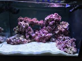 Red sea max 250 (66g) that i just acquired and i have the live rock in a large tub with powerheads and a heater should i try to aquascape the tank half full (to keep the live rock wet? First Saltwater Tank Aquascape - Aquascaping Forum - Nano ...
