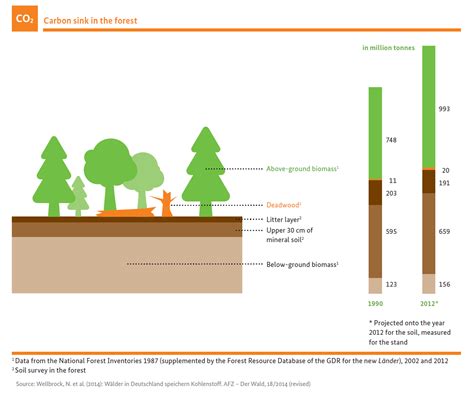 The Forests As Climate Protectors Still A Carbon Sink Bmel