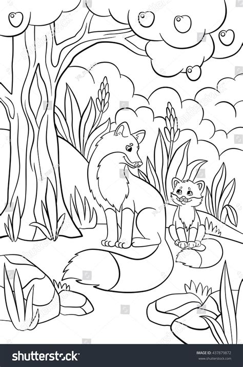 Colouring Pages Forest Animals Sonquest Rainforest Coloring Mural By