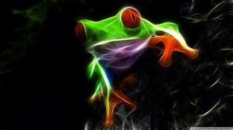 Hd Frog Wallpaper Wallpapersafari