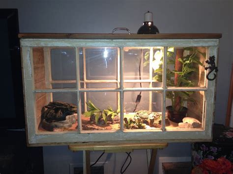 Reptile enclosure kit (2'w x 2'd x 30″h) select options. 207 best Reptile, Fish and Amphibian Tanks Cages and ...