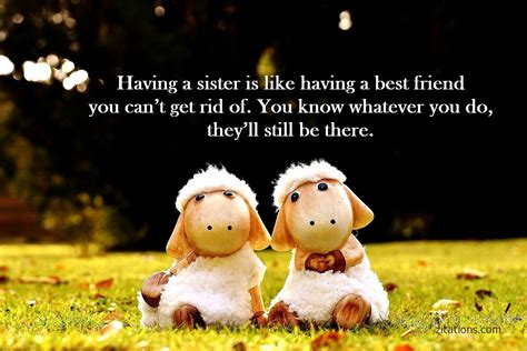 Funny Brother And Sister Quotes 40 Wonderful Siblings Quotes That Will Make You Feel Extra