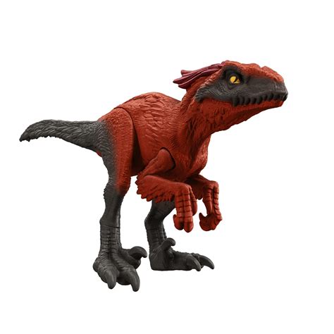 Jurassic World Dominion Roar Strikers Megaraptor Dinosaur Action Figure With Attack Motion And