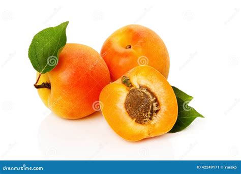 Fresh Apricots With Leaves Isolated On White Background Stock Image