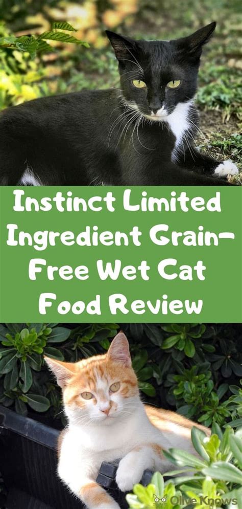 The goal is to limit the number of protein and carbohydrate sources while maintaining a nutritious diet, usually to avoid adverse food reactions or food allergies. Instinct Limited Ingredient Grain-Free Wet Cat Food Review ...