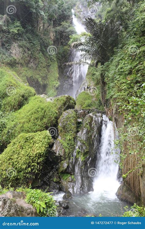 Waterfall In Rainforest New Zealand Stock Photography Cartoondealer