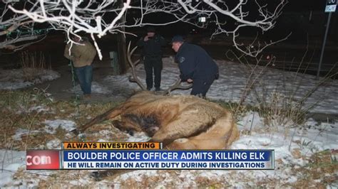 Officer Investigated After Elk Kill Youtube
