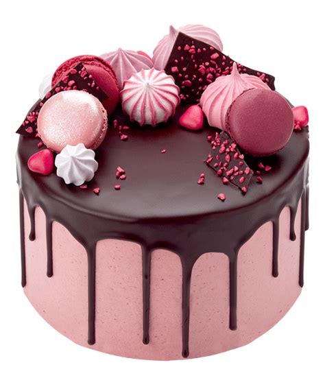 Chocolate Raspberry Drip Cake Cake Cake Recipes Cupcake Cakes