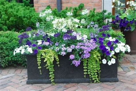 Beautiful Summer Container Garden Flower Ideas 26 Lovahomy