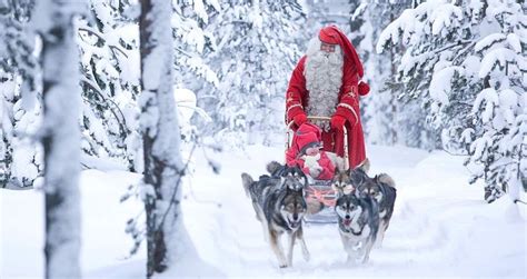 15 Best Santa And Sled Dogs Images On Pinterest Sled Dogs Husky And