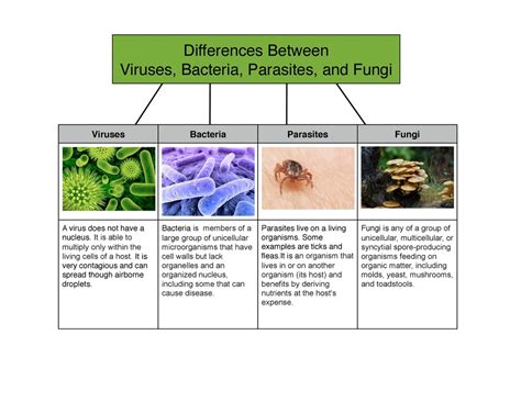 Microbes And Disease