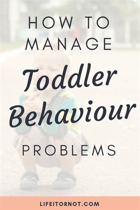 Behaviour Management Techniques For Toddlers Life It Or Not Toddler