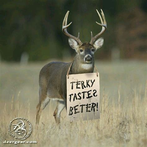 Pin By Rwalcz On Hunting And Fishing Deer Hunting Humor Hunting