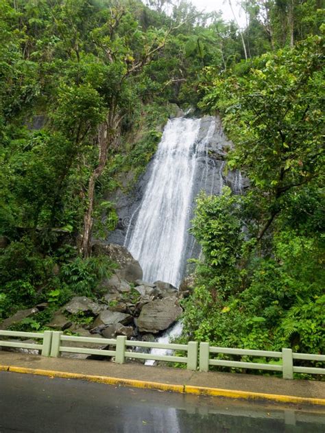 Cachoeira Bonita No El Yunque Porto Rico Eua Imagem De Stock Imagem