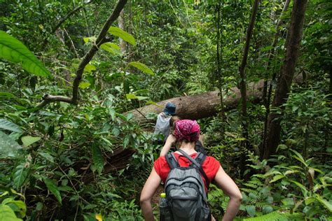 Serious jungle trekking, off the beaten track, in kuala kenong national park. Chiang Mai Jungle Trekking | 3-daagse tour Thailand ...