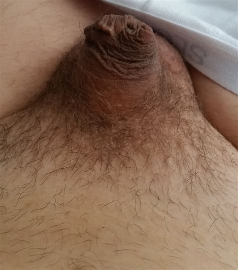 Homemade Uncut Penis Hot Sex Picture
