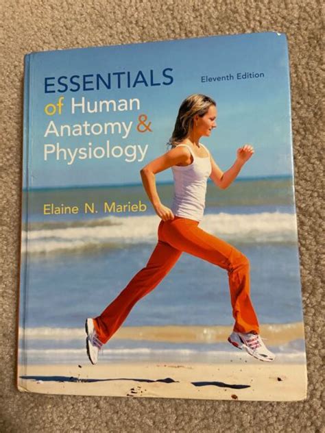 Essentials Of Human Anatomy And Physiology By Marieb Elaine N 2014
