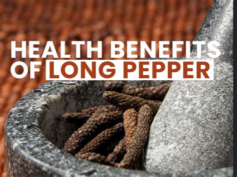 What Are The Health Benefits Of Long Pepper Pippali