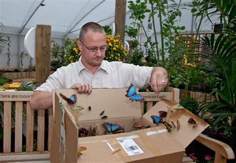 Natureplus Whats New At The Museum Sensational Butterflies Are In