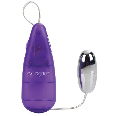 Vibrating Clitoral Massager Vibrator Bullet Vibe Sex Toy For Women Remote Purple Ebay