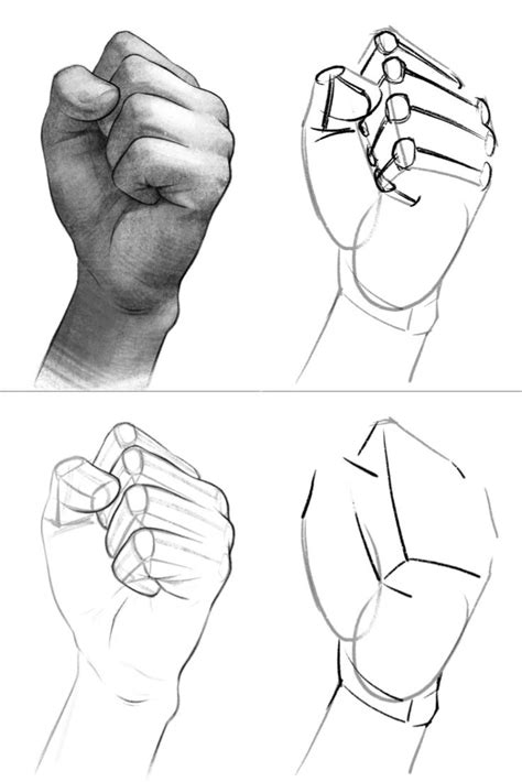 🤛 Lets Draw A Hand Clenched Into A Fist Hand Art Drawing Sketch