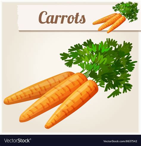 Carrots Detailed Icon Royalty Free Vector Image Carrots Food Eating