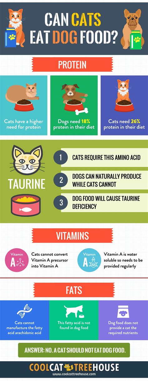 Cats need more b vitamins (thiamin, niacin), and folic acid than dogs. Can Cats Eat Dog Food? - Kitty Nutrition - Cool Cat Tree ...