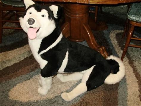 Maybe you would like to learn more about one of these? Melissa and Doug Life Size/Life Like Plush Husky Dog and Labrador - for Sale in Creedmoor, North ...