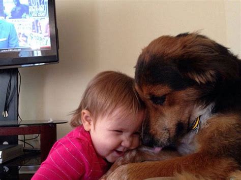15 Niños Pequeños Descubriendo Porqué Los Perros Son El Mejor Amigo Del