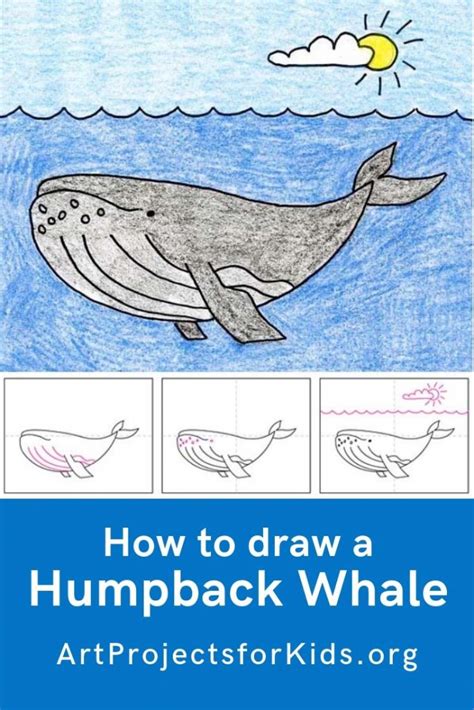 Choose your favorite humpback whale drawings from 76 available designs. Draw a Humpback Whale | Whale drawing, Whale art, Drawings