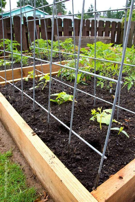 How to build a trellis and 3 examples (tomato, grapevine, and cucumber). 10 DIY Garden Trellises That Cost Less Than $20