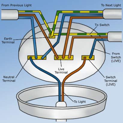 This wiring diagram shows the power starting at the switch box where a splice is made with the hot line which passes the power to both switches, and up to the ceiling fan and light. Celing rose problem....? Help! | Electricians Forum | Electricians Jobs | Electrical Advice ...