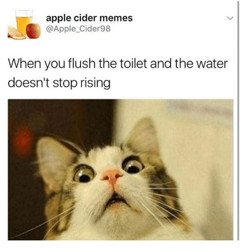 Apple Cider Memes Cider98 When You Flush The Toilet And The Water Doesn