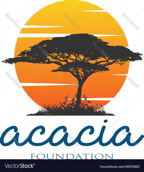 Acacia Tree Silhouette With A Sunset Background V Vector Image