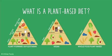 Plant Based Nutrition 101 — Infinite Foods Plant Based Diets