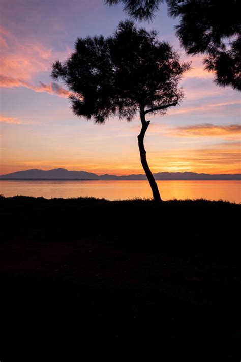 How To Photograph A Lone Tree Alexios Ntounas Photography