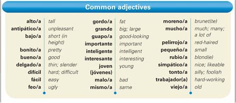 Spanish Describing Words That Start With O Cecilia Has Haley