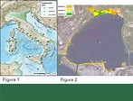 Scenari di innalzamento del livello del mare su alcune aree costiere ...