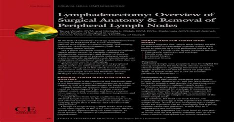Lymphadenectomy Overview Of Surgical Anatomy And Removal Of