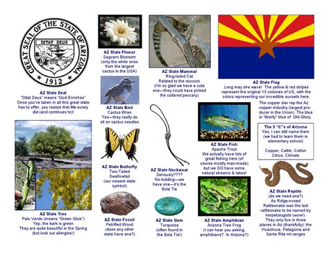 Arizona State Symbols By Cheryl Wilson Issuu