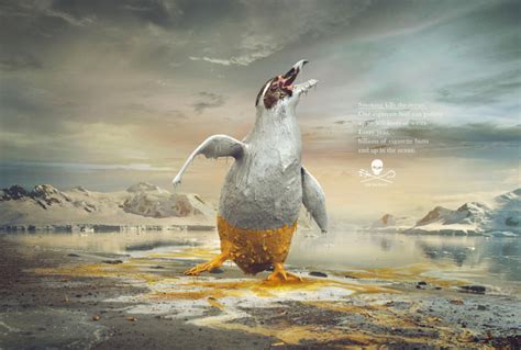 Sea Shepherd Print Advert By Fcb The White Tide 2020 Ads Of The