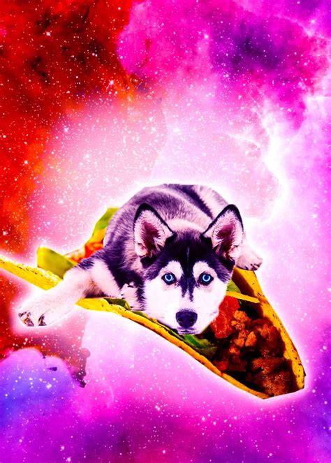 Galaxy Dog Riding Taco Poster By Random Galaxy Displate