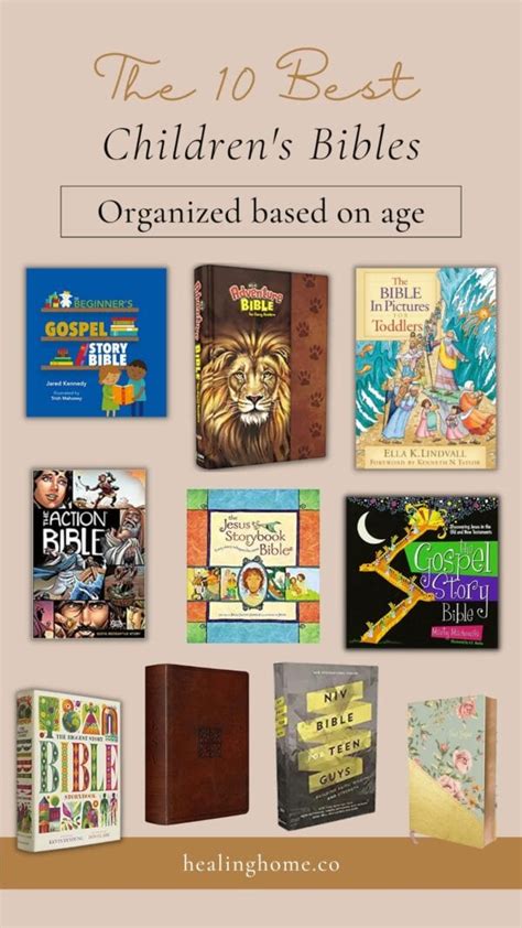 The 10 Best Childrens Bibles Separated By Age